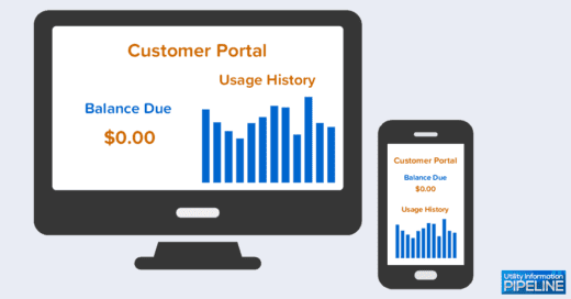 Customer Portal Screens