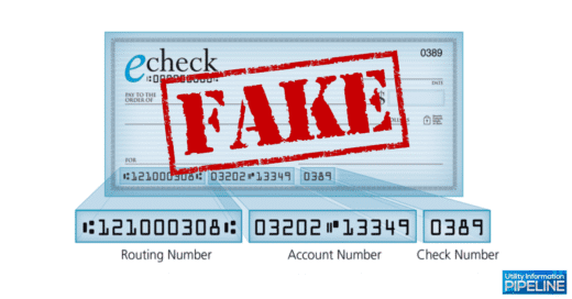 Fake echeck